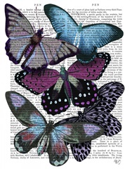 Big Bold Butterflies 5