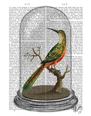 Bird In Bell Jar