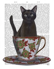 Black Cat in Teacup