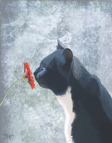 Black Cat Sniffing Flower