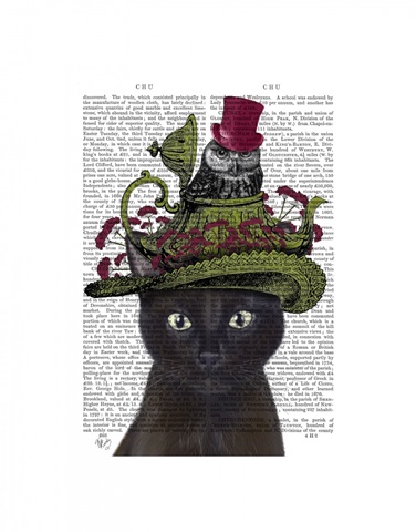 Black Cat with Teapot and Owl