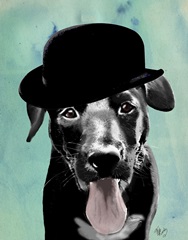 Black Labrador in Bowler Hat
