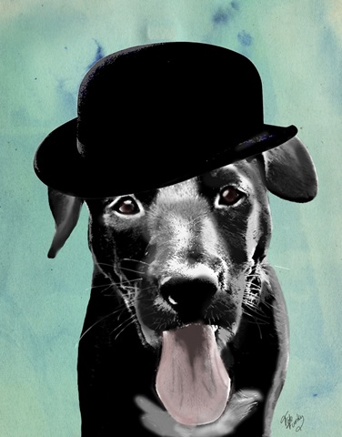 Black Labrador in Bowler Hat