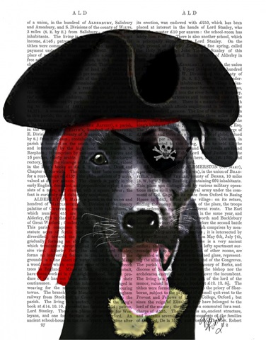 Black Labrador Pirate