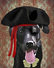 Black Labrador Pirate Dog