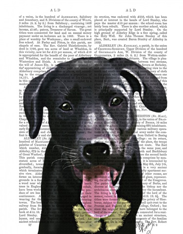 Black Labrador Plain