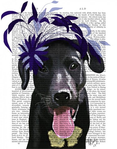Black Labrador With Blue Fascinator