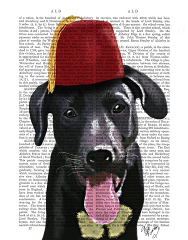 Black Labrador With Fez