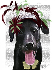 Black Labrador With Green Fascinator