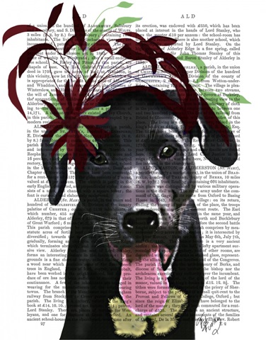 Black Labrador With Green Fascinator