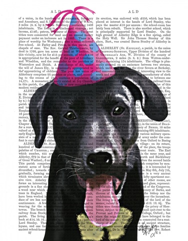 Black Labrador With Party Hat