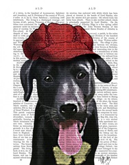 Black Labrador With Red Cap