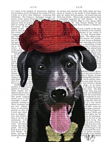 Black Labrador With Red Cap