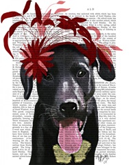 Black Labrador With Red Fascinator