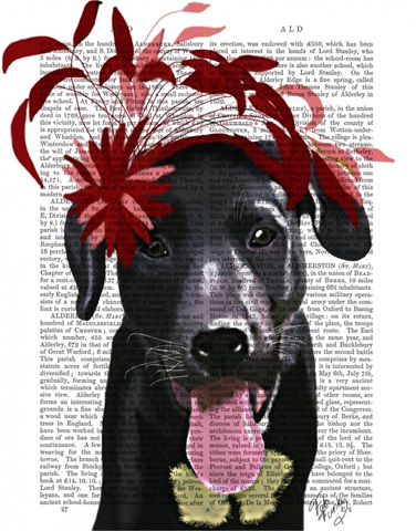 Black Labrador With Red Fascinator