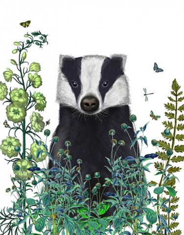 Badger In The Garden