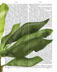 Banana Leaves 1, Green on White