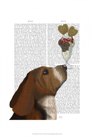 Basset Hound Ice Cream
