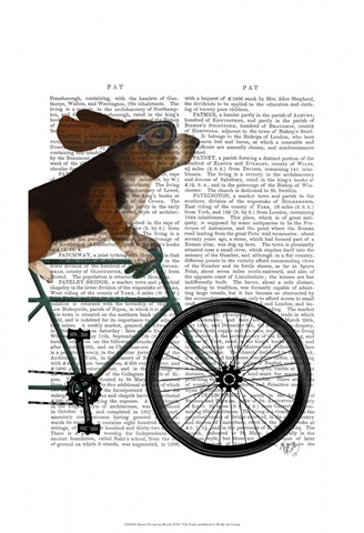 Basset Hound on Bicycle