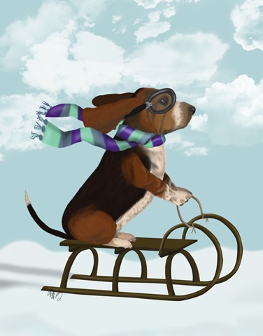 Basset Hound, Sledging
