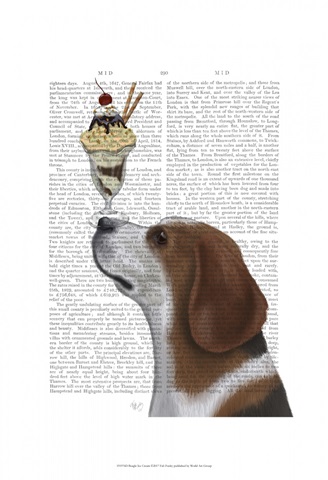 Beagle Ice Cream