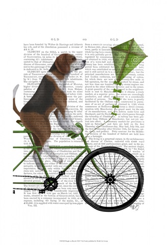 Beagle on Bicycle