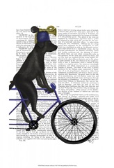 Black Labrador on Bicycle