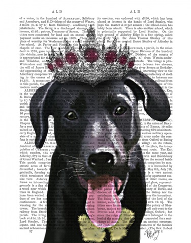 Black Labrador With Tiara