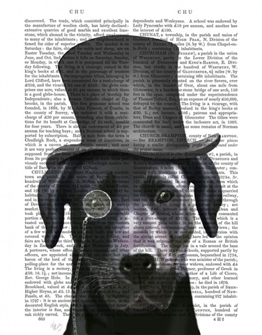 Black Labrador, Formal Hound and Hat