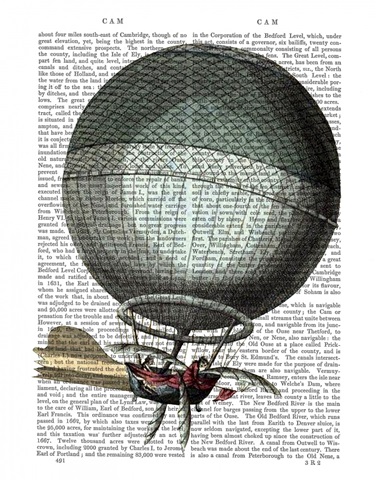 Blanchard Vintage Hot Air Balloon