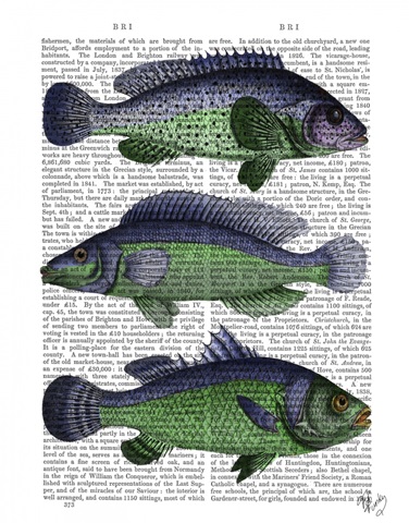 Blue and Green Fish Trio