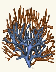 Blue and Orange Corals b