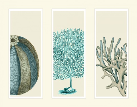Blue Corals and Sea Urchins in 3 Panels