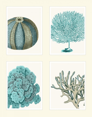 Blue Corals and Sea Urchins in 4 Panels