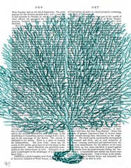 Blue Corals and Sea Urchins IV