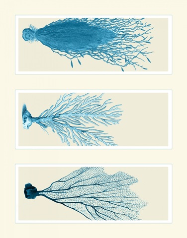Blue Corals on 3 Panels
