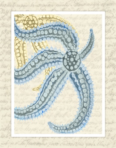 Blue Corals On VIntage Script a