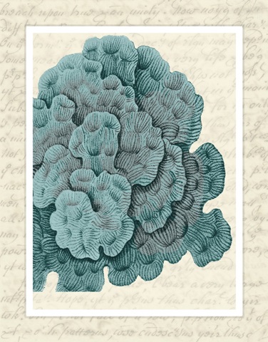 Blue Corals On VIntage Script e