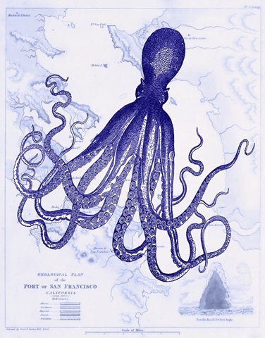 Blue Octopus 1 on Nautical Map