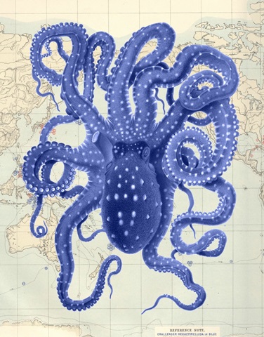 Blue Octopus 2 on Nautical Map