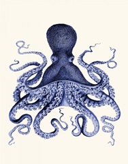 Blue Octopus 3