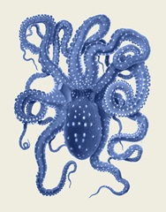 Blue Octopus on Cream a
