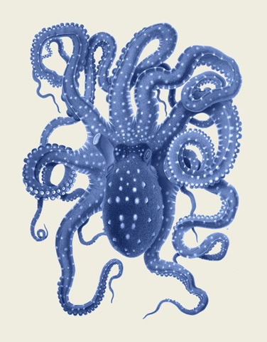 Blue Octopus on Cream a