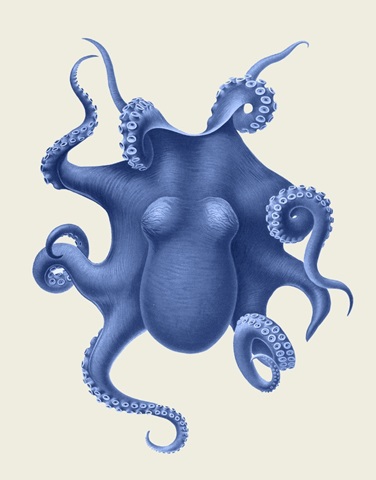 Blue Octopus on Cream d