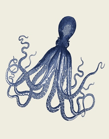 Blue Octopus on Cream e