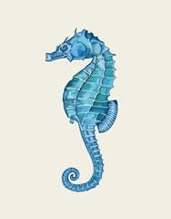 Blue Seahorse