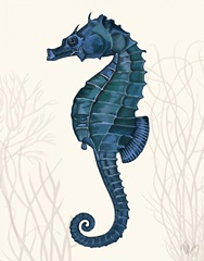 Blue Seahorses on Cream b