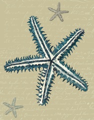 Blue Starfish on Taupe a