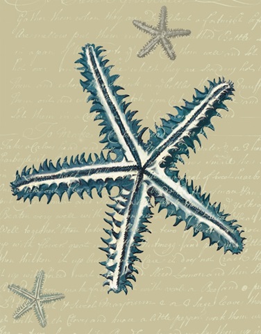 Blue Starfish on Taupe a