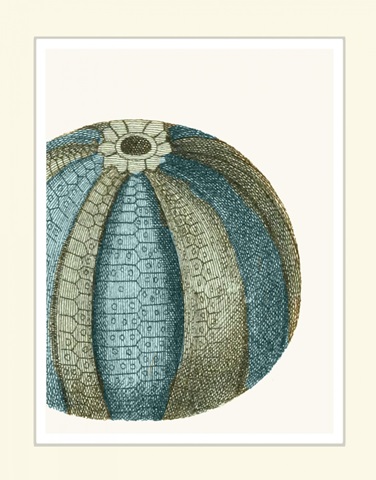 Blue Underwater Scenes 1 a